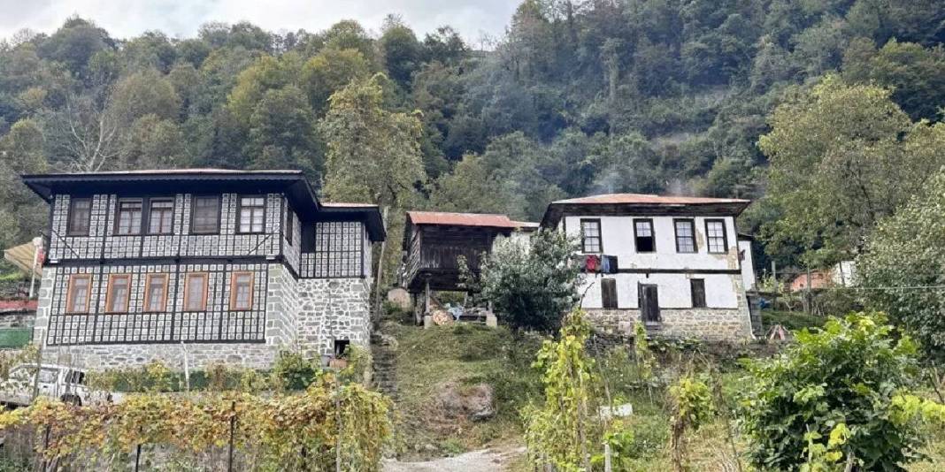 Her köşesinde doğallık taşıyor! En fazla tescilli yapı burada bulunuyor: Türkiye’nin ziyaretçi akınına uğrayan Arılı Köyü 3